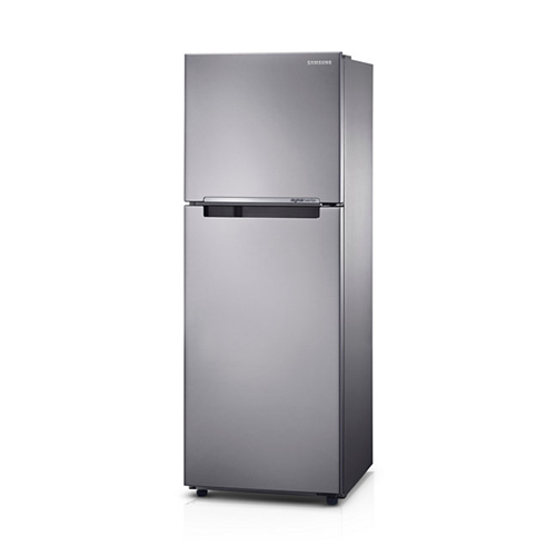 Samsung Kulkas Two Doors 234 L - RT22FARBDSA